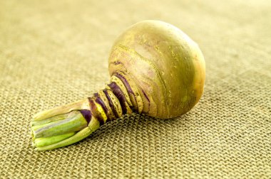 Macro of swedish turnip with green stalks clipart