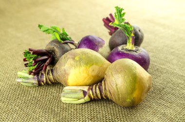 Pancar ve arka planda mor şalgam ile İsveçli şalgam