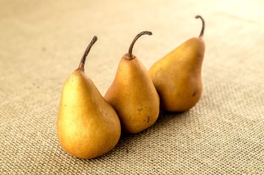 Bir sırada oturan armut pişirme pişmemiş