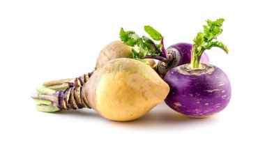 Freshly harvested turnips and swede produce clipart