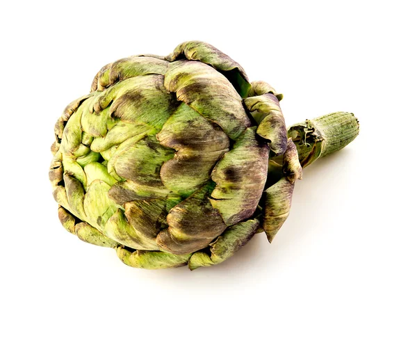 Macro of mature artichoke studio isolated — Stock Photo, Image