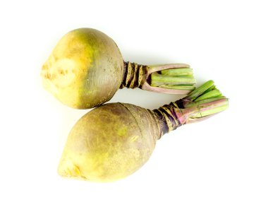 Two organic rutabaga turnips studio isolated clipart