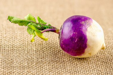 Closeup of whole raw turnip with shirt leafy stalks clipart
