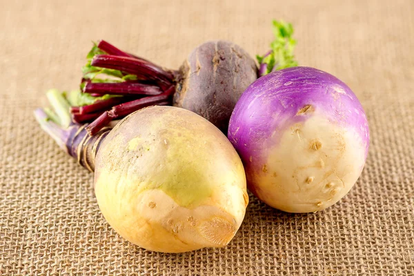 Taproot brassica sebze üç tür