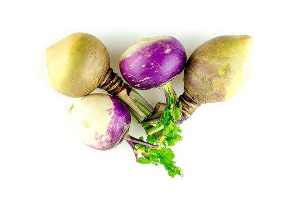 Swedish turnips and purple turnip edible root plants isolated on