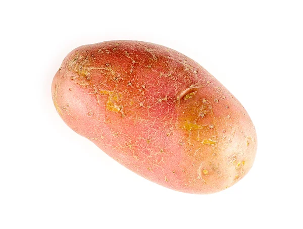 Roze aardappel geïsoleerd op wit — Stockfoto
