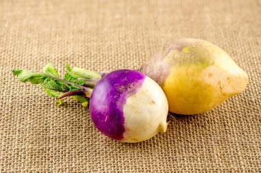 Turnip and swede against hessian clipart
