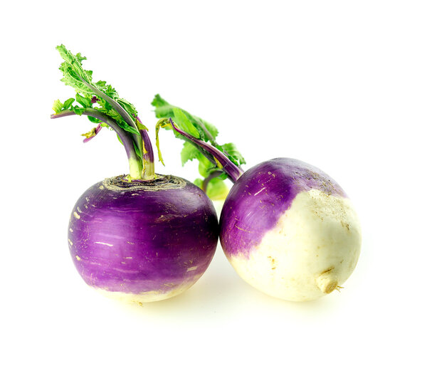 Wholesome organic turnips studio isolated