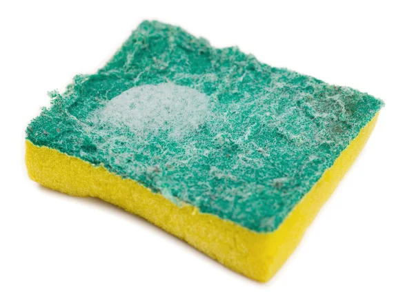 Dirty green and yellow kitchen sponge with soap suds on white ba — Stock Photo, Image