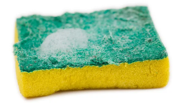 Close-up of dirty sponge with soap suds — Stock Photo, Image