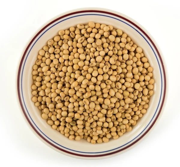 Tigela de sementes de soja isoladas em branco — Fotografia de Stock