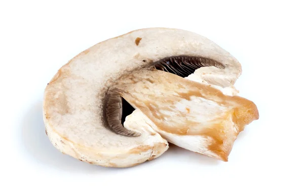 Макро ломтик белого обыкновенного гриба изолирован — стоковое фото