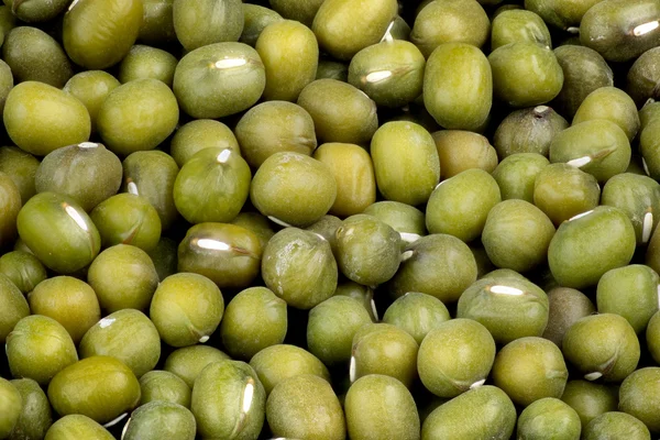Макро из зеленых бобов — стоковое фото
