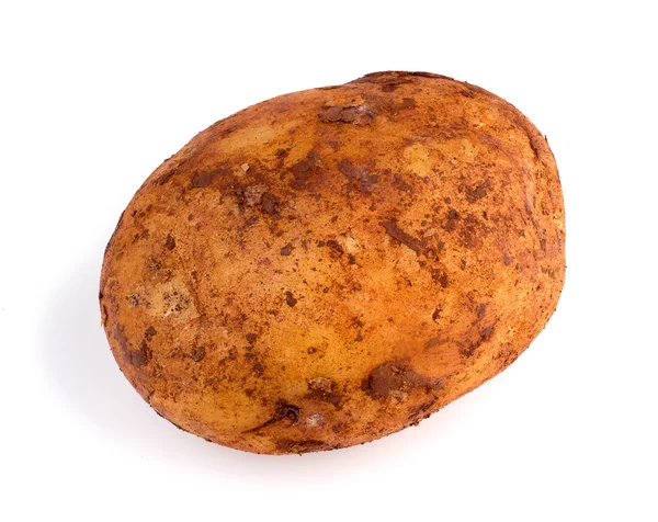 Nahaufnahme von schmutziger australischer Bio-Zwieback-Kartoffel — Stockfoto