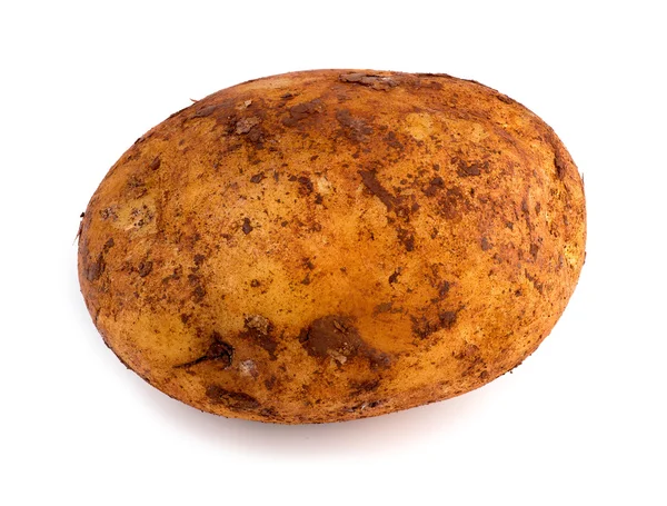 Vista horizontal de la patata russet recién recogida aislada contra —  Fotos de Stock