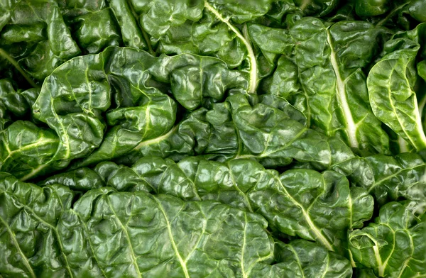 Macro closeup of healthy green fresh silverbeet — Stock Photo, Image