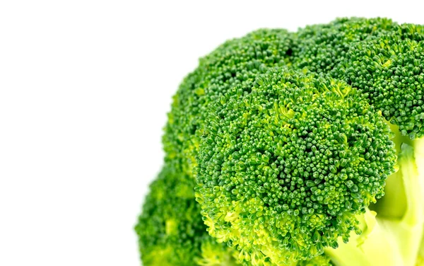 Closeup of organic green broccoli floret with white copyspace — Stock Photo, Image