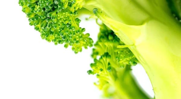 Skrajny zbliżenie posiekane brokuły na białym tle biały backg — Zdjęcie stockowe