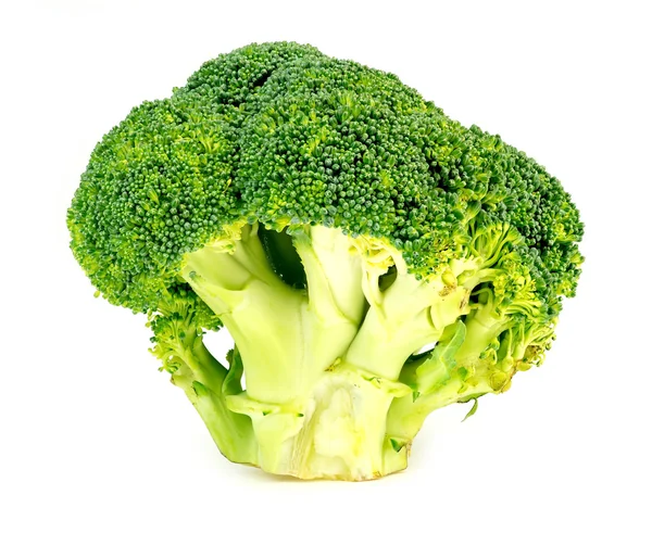 Thick, juicy, organic, green broccoli head sliced on white — Stock Photo, Image