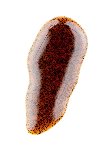 Beyaz izole sıvı vanilya pods