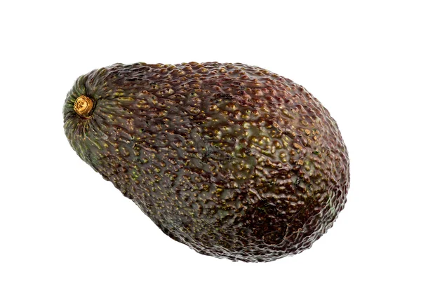 Изолированный авокадо — стоковое фото