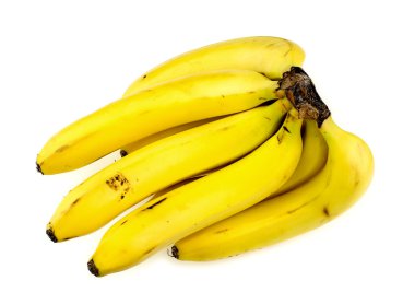 Muz stüdyo çekim sürü