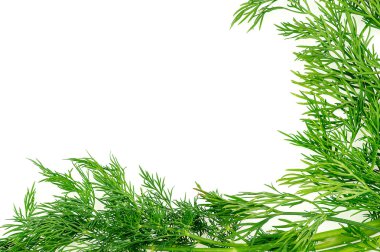 Yeşil arka plan dokusu ile taze organik dereotu bitki copys ile