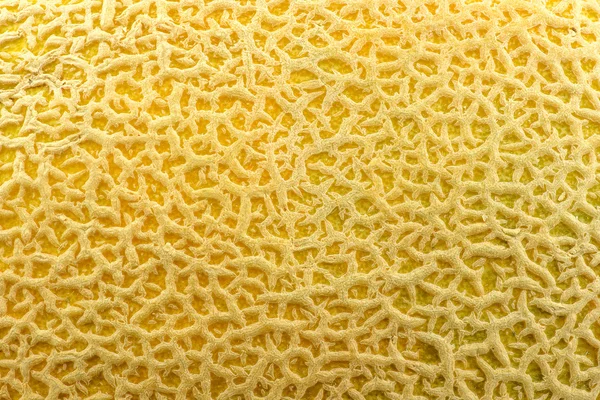 Makro närbild av cantaloupe melon huden bakgrundsstruktur — Stockfoto