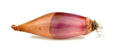 Stüdyo çekim uzun mor soğan