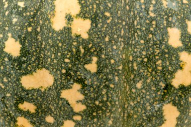 Kent kabak arka plan dokusu