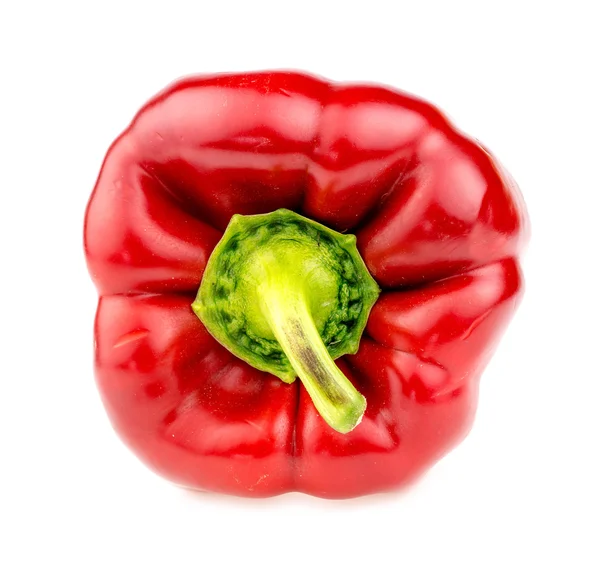 Horní části červené papriky makra — Stock fotografie