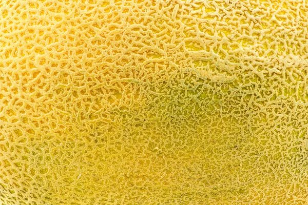 Cantaloupemelon hud närbild — Stockfoto