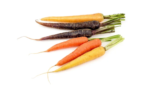 Grup çok renkli havuç