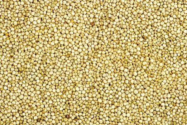Macro achtergrond textuur van verse quinoa — Stockfoto