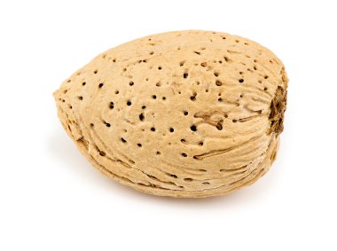 Badem kabuk üzerinde beyaz izole makro closeup