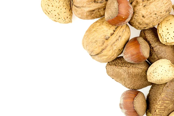 Almendras, nueces, nueces brasileñas y avellanas en cáscaras — Foto de Stock