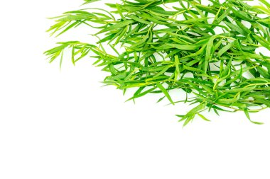 Arka plan doku tarhun ot baharat