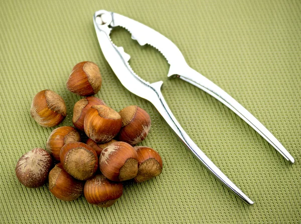 Un-opened hazelnuts with nut cracker on green background — Stock Photo, Image