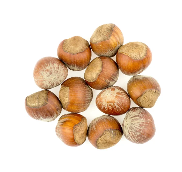 Pile of hazelnuts — Stock Photo, Image