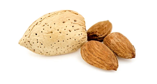 Almendras y conchas aisladas contra blanco — Foto de Stock