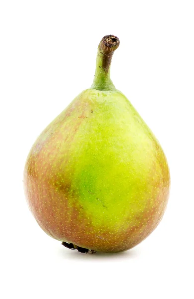 Makro närbild av enda paradis mini päron — Stockfoto