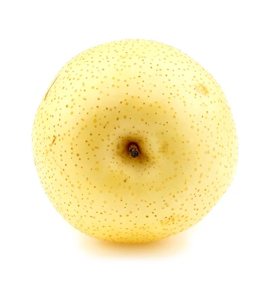 Asiatiska päron isolerad på vit — Stockfoto