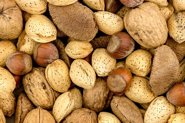 Nueces de Brasil, avellanas, nueces y almendras textura de fondo — Foto de Stock