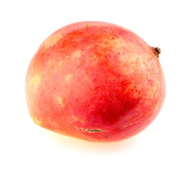 Calypso mango studio beyaz vurdu