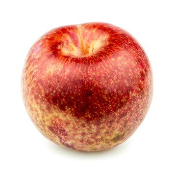 İzole Pluot meyve