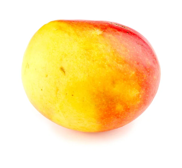 Makró Vértes calypso mango elszigetelt — Stock Fotó