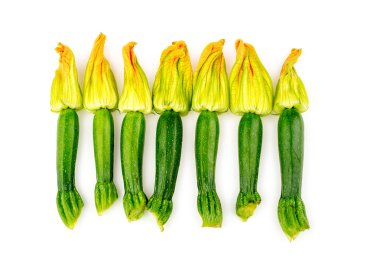 Group of zucchini flowers studio top shot clipart