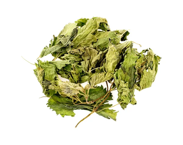 Suszona Pokrzywa herbata liść na białym tle Obraz Stockowy