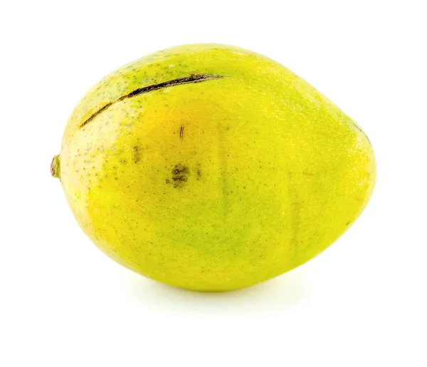 Isolerade makro exotisk mango — Stockfoto