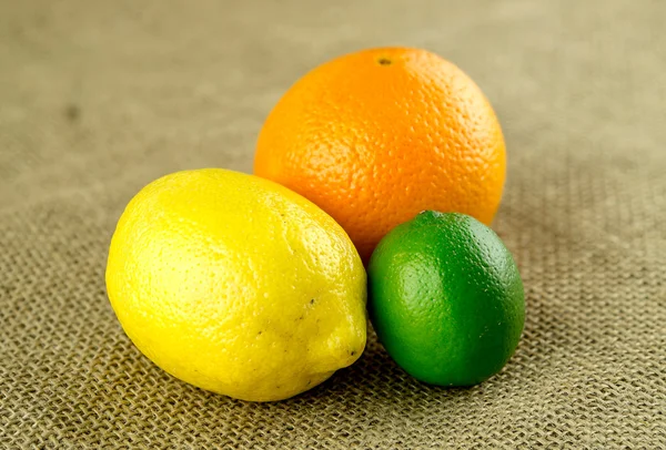 Kilka kolorowych owoców cytrusowych na płótnie — Zdjęcie stockowe